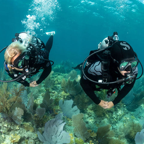 Two divers use Air Balanced Flow-Through Piston Regulator With Chrome Brass Body DIN Connection for cold water diving.