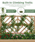 Wooden Elevated Garden Bed With Trellis On Sturdy Legs Free Standing Planter Box With Storage Shelf 47 By 24 By 55 Inches