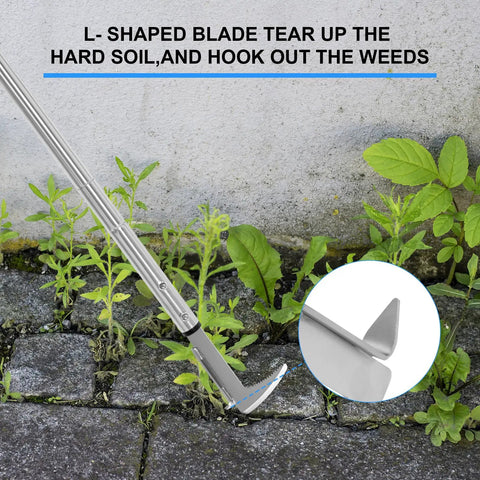 Go To Crevice Weeder With Long Handle for Sidewalk Cracks, L-shaped stainless steel blade shown in use on pavement weeds.