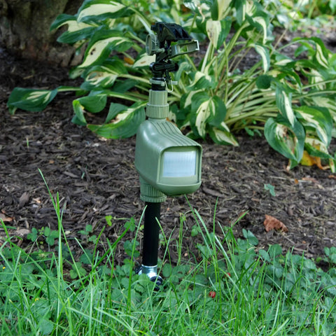Motion Activated Animal Repellent Sprinkler For Yard Pest Control That Keeps Critters Away Including Cats Dogs Squirrels Deer Raccoons And Rodents With A Quick Water Burst Outdoor Lawn Protector Batteries Not Included Model 5277 in garden setting.