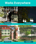 Flat Top Garden Arch Trellis For Climbing Plants Extra Large 11 Ft By 9 Ft Outdoor Metal Arbor in various settings: weddings, walkway, garden, hanging lights.