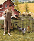 Heavy Duty Metal Chicken Coop With Waterproof And Anti UV Cover No Fuss Portable Chicken Run For Yard Poultry Cage Hen House For Backyard Farm Use 86 Inch Long By 40 Inch Wide By 40 Inch High Rust Resistant Epoxy Coated Frame Ground Nails Included in use with chickens near a red barn.