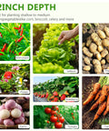 Variety of vegetables and flowers with labels including green pepper, lettuce, potato, flower, garlic, strawberry, tomato, and carrot.