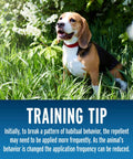 Dog sitting in a garden suggesting use of Dog And Cat Yard Repellent Ready To Use 32 Ounce Spray Keeps Pets And Strays From Marking Your Yard