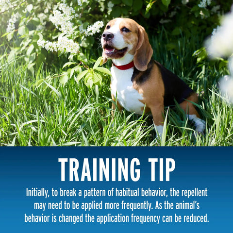 Dog sitting in a garden suggesting use of Dog And Cat Yard Repellent Ready To Use 32 Ounce Spray Keeps Pets And Strays From Marking Your Yard