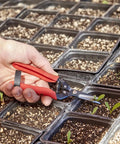 Hand using Long Straight Pruning Snip With Precision Narrow Tempered Steel Blades For Clean Cuts In Delicate Flowers Herbs And Veggies A Dope Tool For Deadheading Thinning And Harvesting Without Bruising on seedlings