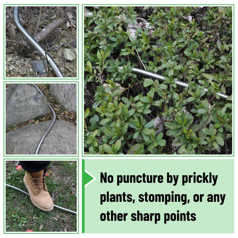 Stainless Steel Garden Hose With 4 Function Brass Nozzle, 50 Ft No Kink, shown on grass, resisting puncture from sharp plants.