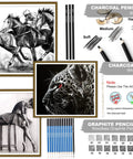 Detailed drawings made with Pro Grade Sketching Pencils Set With Charcoal And Graphite Portable Zippered Case Includes 12 Graphite Pencils 5H To 8B 3 Charcoal Pencils Woodless Graphite Sharpener And Eraser Art Supplies For Beginners Teens And Adults