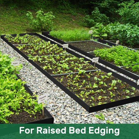 No Dig Landscape Edging Kit For Lawn And Flower Beds 49 Feet Flexible Plastic Border in vegetable garden beds
