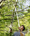 Using Razorsharp Beefy Heavy Duty Telescopic Ratchet Loppers With Extendable 40.5 Inch Aluminum Handles on branches