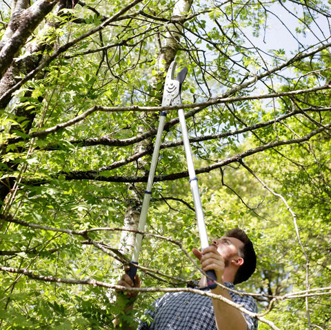 Using Razorsharp Beefy Heavy Duty Telescopic Ratchet Loppers With Extendable 40.5 Inch Aluminum Handles on branches