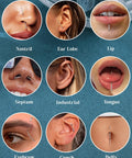 Variety of piercings shown including nostril, ear lobe, lip, septum, industrial, tongue, eyebrow, conch, and belly with threader kit