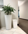 Solid Built 9 Gallon Under Sink Trash Can And Waste Basket For Kitchen Bathroom Or Office Room Featuring A Tough Reinforced Rim Plus Smooth Wipe Down Interior That Makes Spills An Absolute Breeze To Clean Up Today next to a tall plant in an office.