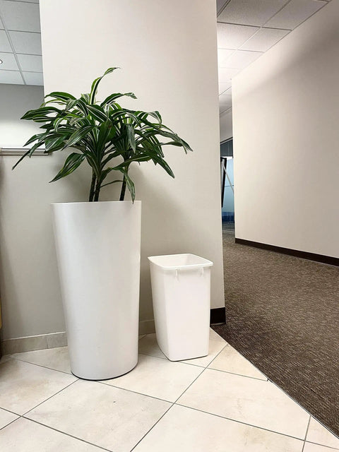 Solid Built 9 Gallon Under Sink Trash Can And Waste Basket For Kitchen Bathroom Or Office Room Featuring A Tough Reinforced Rim Plus Smooth Wipe Down Interior That Makes Spills An Absolute Breeze To Clean Up Today next to a tall plant in an office.