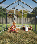 Walk In Wooden Chicken Coop For 10 To 12 Chickens With Large Outdoor Run Predator Proof Galvanized Mesh Covered Poultry Cage Includes Feeder And Easy Access Doors For Backyard Farm Or Yard Easy Clean Up, child sitting with chickens inside the coop.