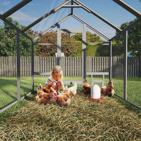 Walk In Wooden Chicken Coop For 10 To 12 Chickens With Large Outdoor Run Predator Proof Galvanized Mesh Covered Poultry Cage Includes Feeder And Easy Access Doors For Backyard Farm Or Yard Easy Clean Up, child sitting with chickens inside the coop.