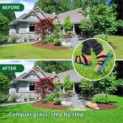 Before and after using Dope Lawn Aerator Shoes With 1.65 Inch Spikes, Adjustable Inflatable Design for improved lawn health