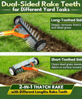 Wheel Equipped Adjustable Thatch Rake With No Backache Dethatching On Lawns, 38 To 65 Inch Handle, 21 And 11 Dual-Sided Steel Tines