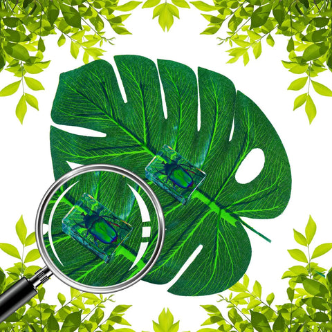 Magnified insect in a resin specimen on a leaf from the Nine Insect Resin Specimen Set With 9 Unique Bugs, Kid-Friendly Paperweights.