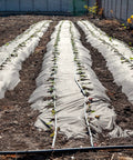 Garden rows with drip irrigation using Elbow Barbed Locking Fitting For 16mm Drip Tape Tubing PE Plastic Blue Pack Of 15