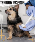 Veterinarian bandaging dog's paw with Pro Grade Micro Dissecting Scissors 4.5 Inch visible, gold rings and fine point blade.