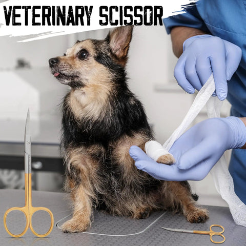 Veterinarian bandaging dog's paw with Pro Grade Micro Dissecting Scissors 4.5 Inch visible, gold rings and fine point blade.