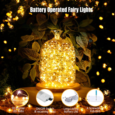 Battery-operated fairy lights in glass dome with warm white glow and foliage, Six Pack Battery Operated Fairy Lights With Timer And Remote Six Point Five Foot Copper Wire 20LED Warm White Twinkle Lights Waterproof Firefly String For Mason Jar Wedding Party Christmas Centerpiece And Decor.