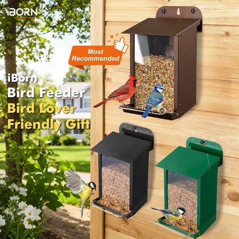 Weatherproof Metal Wall Mounted Bird Feeder With Heavy Duty Roof And Detachable Easy Clean System for outdoor use with birds feeding