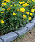 Realistic Faux Stone Landscape Edging Kit With 24 Bricks, 15.5 Ft Total bordering yellow flowers in garden