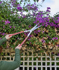 Gardener using PrecisionCUT Aluminum Hedge Shears With Lightweight Ergonomic Handles For Easy Trimming Of Hedges Shrubs And Bushes Without Fatigue