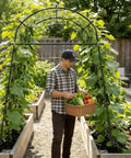 Garden with man harvesting under 7 Ft Adjustable Garden Arch Trellis For Climbing Plants, Heavy Duty Rustproof Stainless Steel Cucumber Support