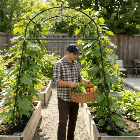 Garden with man harvesting under 7 Ft Adjustable Garden Arch Trellis For Climbing Plants, Heavy Duty Rustproof Stainless Steel Cucumber Support