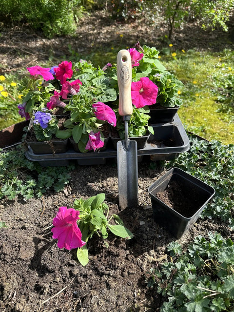 Rock N Root Trowel For Tight Spaces And Deep Digging in soil with pink flowers, showcasing durable ash handle and steel blade.