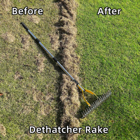 Thatch Rake 15 Inch Wide Dethatcher for cleaning dead grass leaves and debris loosens soil with steel tines and stainless steel handle
