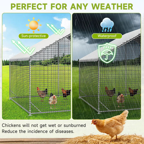 Split view of walk in chicken coop with run and galvanized enclosure, waterproof UV cover, ideal for backyard or farm yards