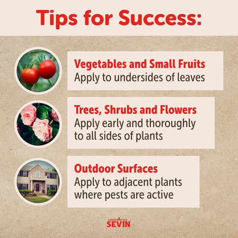 Tips for success on applying Insect Killer Dust For Lawn And Yard 1 Pound Ready To Use Kills 150 Plus Pests On Contact.