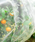 Insect And Bird Barrier Garden Netting 20 X 10 Feet Easy Cut Plant Cover shielding citrus trees from pests and birds
