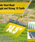 2 In 1 Thatch Rake And Leaf Rake Stainless Steel Lawn Dethatcher With 19 Tines and 14.5-inch wide head in action on grass.