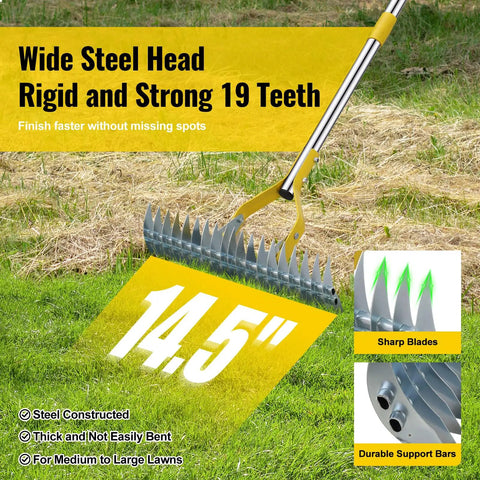 2 In 1 Thatch Rake And Leaf Rake Stainless Steel Lawn Dethatcher With 19 Tines and 14.5-inch wide head in action on grass.