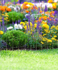 2 Inch By 4 Inch Mesh Welded Wire Fence Roll With 14 Gauge Heavy Duty Galvanized Steel for garden protection around blooming flowers.