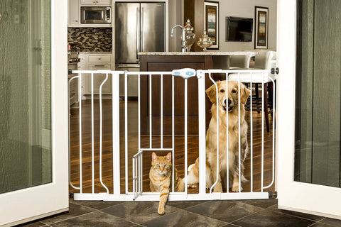Extra Wide Walk Through Pet Gate With Pet Door White 29 34 Inches Wide 30 Inches High With 4 And 6 Extension Panels in doorway