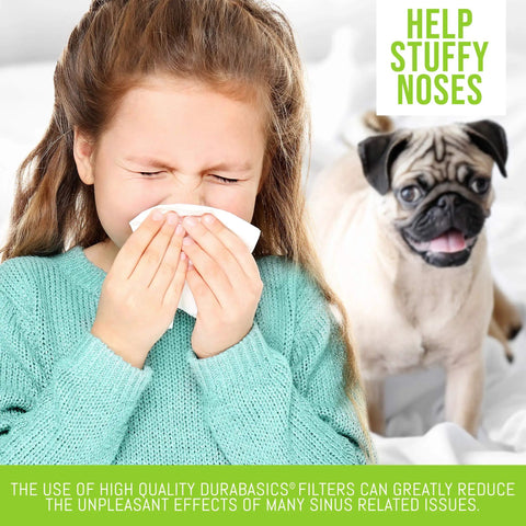 Girl with tissue next to dog, promoting 4 Pack Premium Replacement Humidifier Filters For Holmes HWF62 HWF62CS with odor reduction.