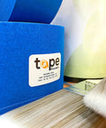 Blue Painter's Tape Pro Grade 2 Inch By 60 Yard Masking Tape rolls with brushes in a painting setup, Made in USA.