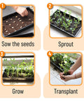 Durable 5 Pack Seed Starter Trays For Indoor Or Outdoor Gardening 17 By 10 By 2.4 Inches sowing seedlings process
