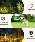 Low Voltage Landscape Light LED 5W Outdoor Spotlight For Yard And Patio IP65 Waterproof 800 Lumens 3500K Warm White