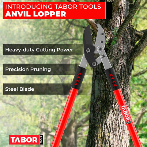 Anvil Lopper With Compound Action For Thick Branches, 19 Inch Aluminum Tree Trimmer displayed against a tree.