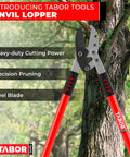 Anvil Lopper with Compound Action for 30 Inch Tree Trimming, Cuts Thick Branches and Dry Wood with Ease, heavy-duty yard tool.