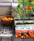 Tomato plants in planters with seed packets and a basket of tomatoes on a patio, featuring Organic Seed Starting Block Expands to 12 Quarts.