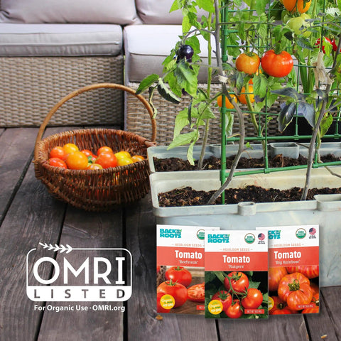Tomato plants in planters with seed packets and a basket of tomatoes on a patio, featuring Organic Seed Starting Block Expands to 12 Quarts.