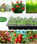 Three Pack No Brainer Seed Starter Tray Kit With 120 Cells Humidity Dome And Base Includes 120 Peat Pellets 100 Plant Labels Two Garden Tools Plastic Plant Growing Trays For Easy Seed Germination And Home Garden Planting Black shown with various plants and seedlings.